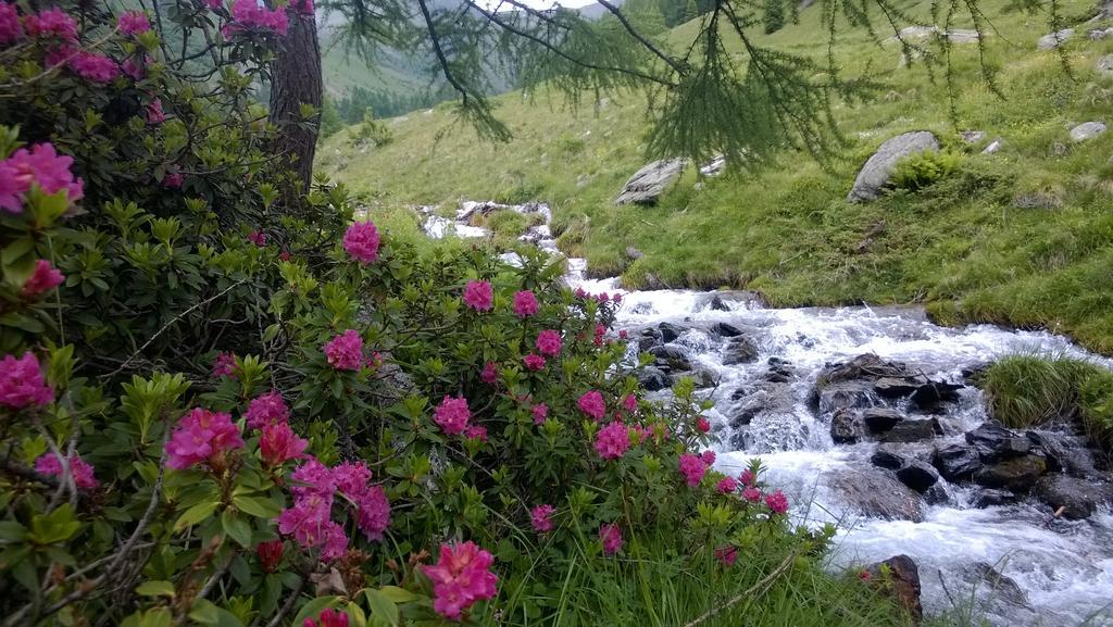 Albergo Eden Passo del Tonale Zewnętrze zdjęcie