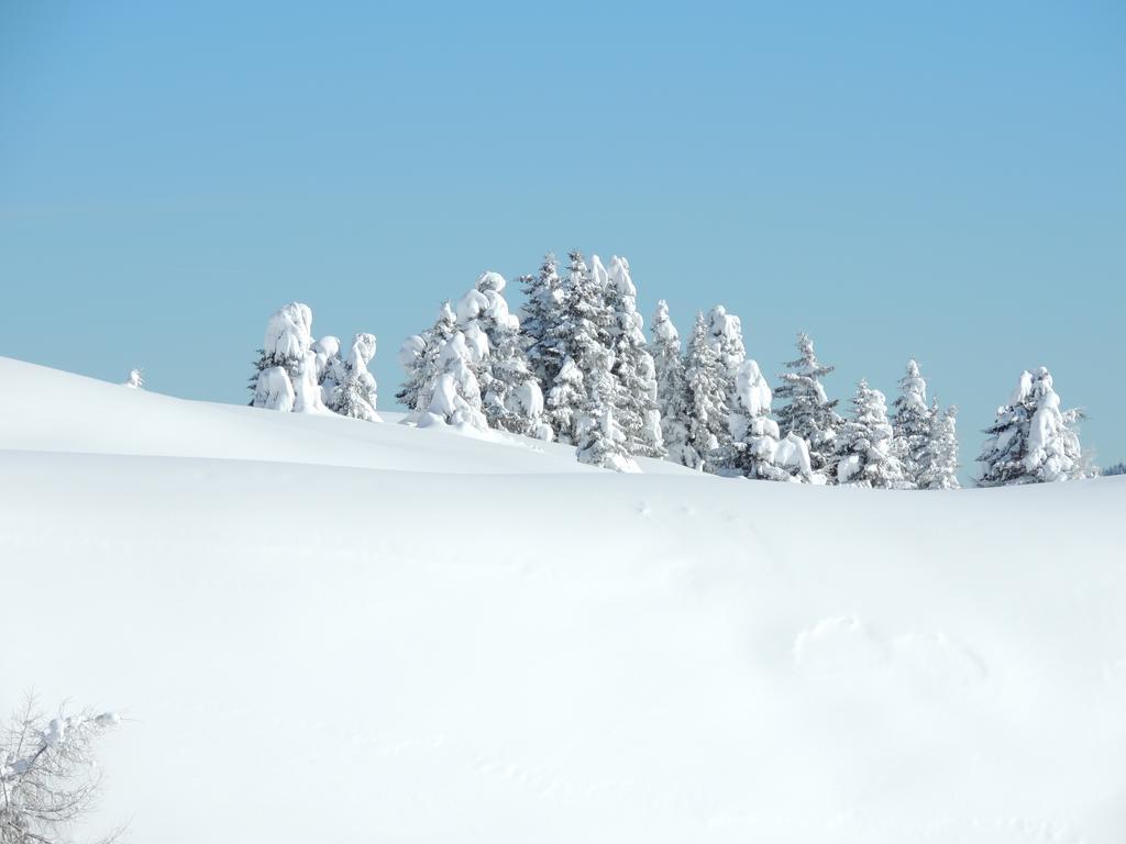 Albergo Eden Passo del Tonale Zewnętrze zdjęcie